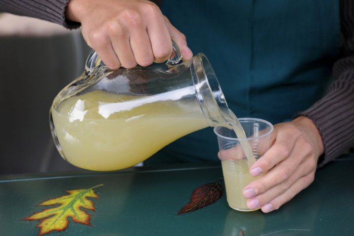 A képet nem sikerült megjeleníteni